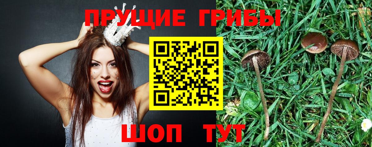 Метамфетамин  Мыски  Вход с VPN  Меф   КОКАИН  Гашиш  Конопля  МАРИХУАНА  Мефедрон 