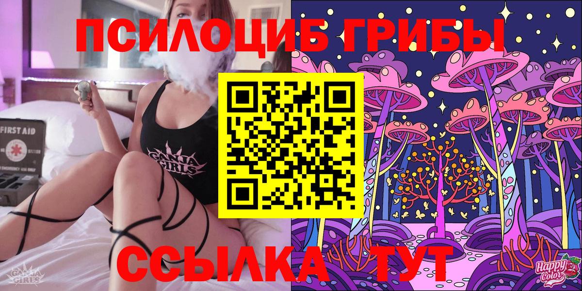 Мыски  Псилоцибиновые грибы Psilocybine cubensis  Вход с VPN  Галлюциногенные грибы GOLDEN TEACHER 